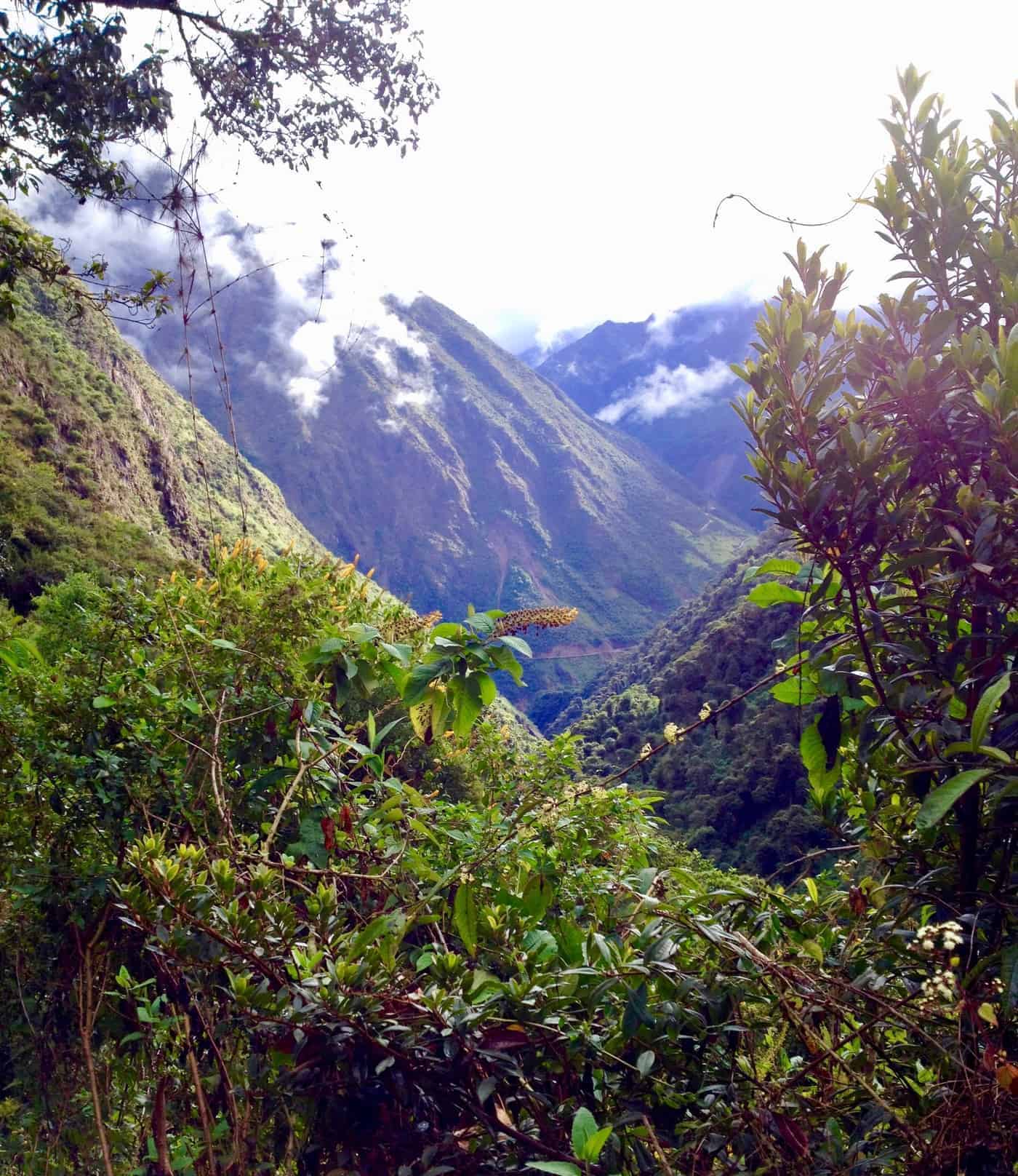 Views on the Inca Jungle trek