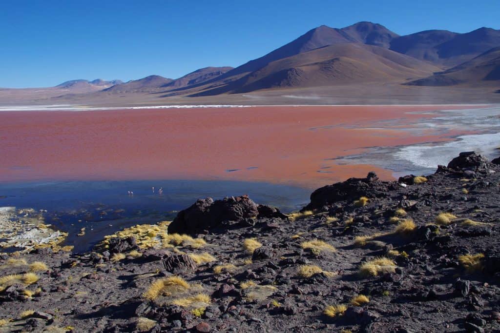 Eduardo Avaroa National Reserve: The Definitive Guide