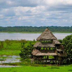 Ecuador, Amazon Jungle