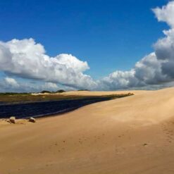 Natural oasis in Lomas de Arena