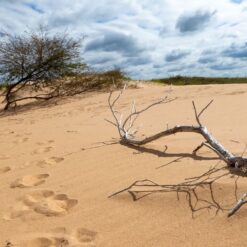 Lomas de Arena desert
