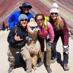 Group pose with alpaca
