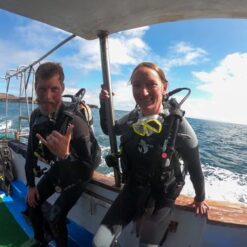 Divers in Galapagos