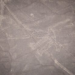 The dog Nasca Lines