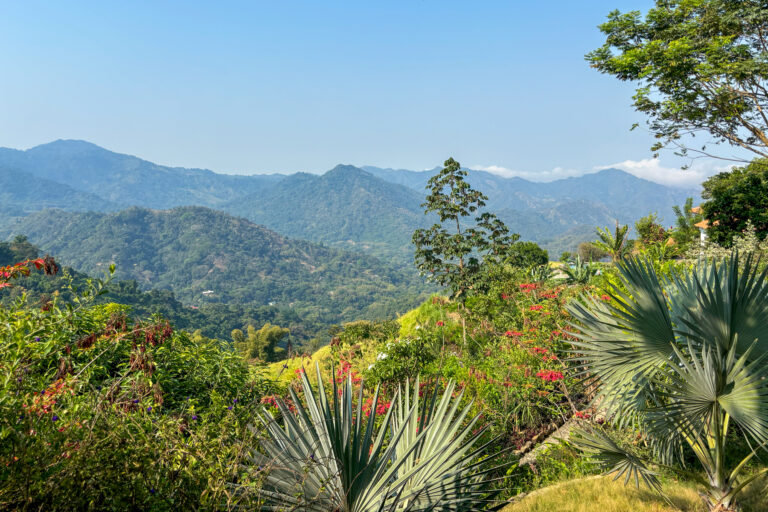 Backpacking Minca Colombia Ultimate Travel Guide backpacking-minca-colombia-ultimate-travel-guide