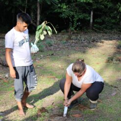 Woman planting a tree in the jungle