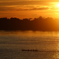 Sunset over the jungle and river