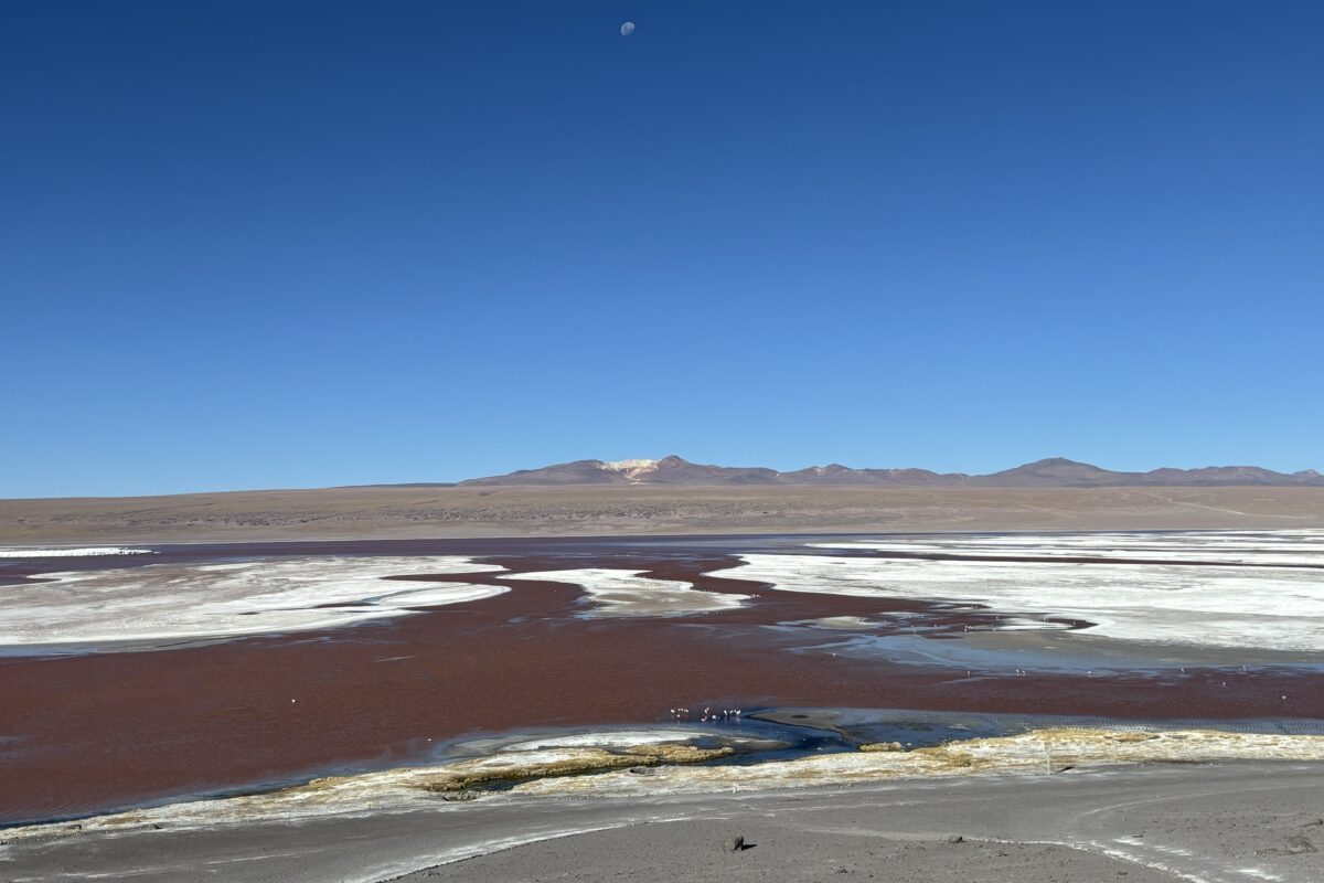 Laguna roja